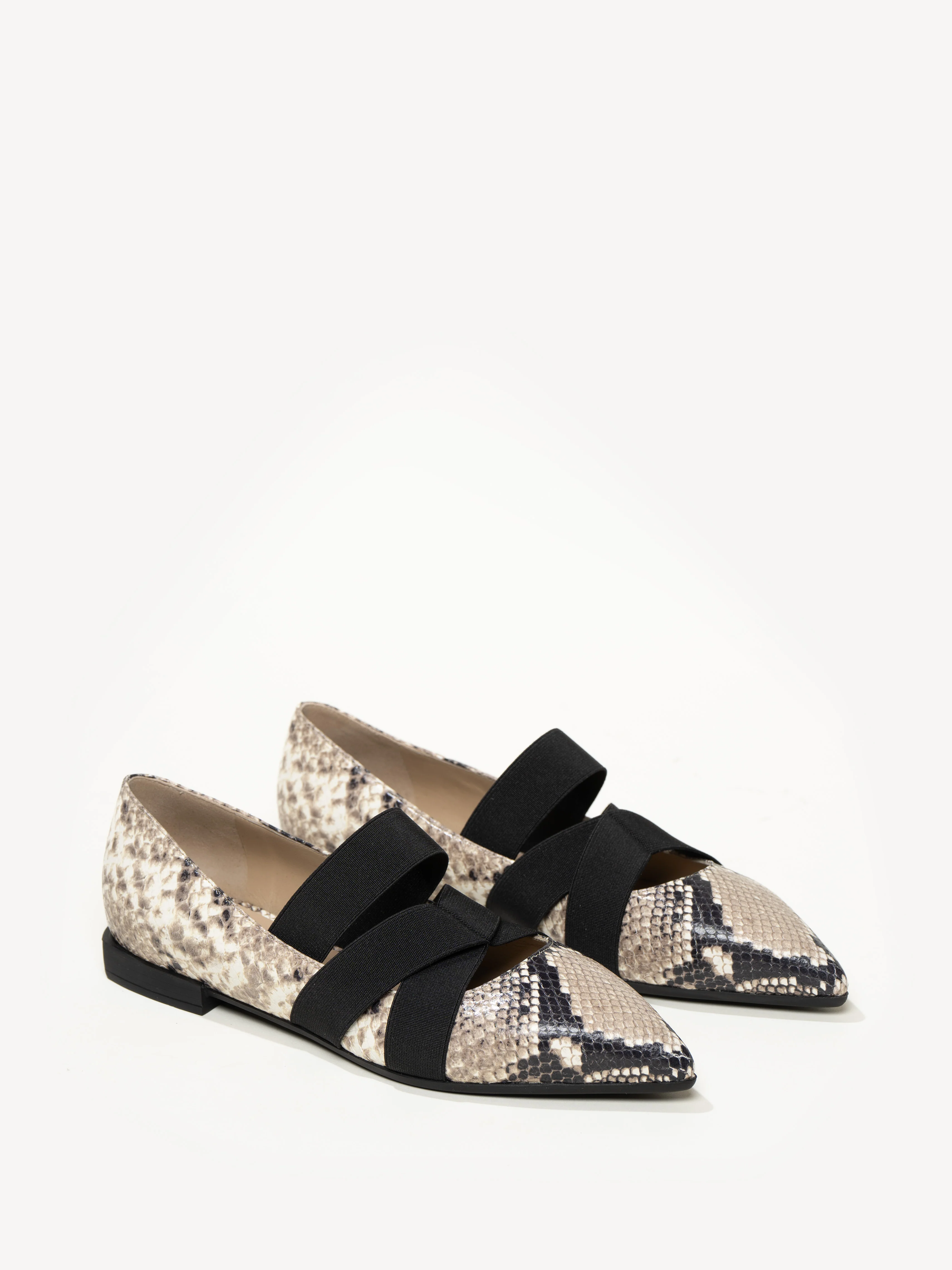 The Fiorenza - Image 2