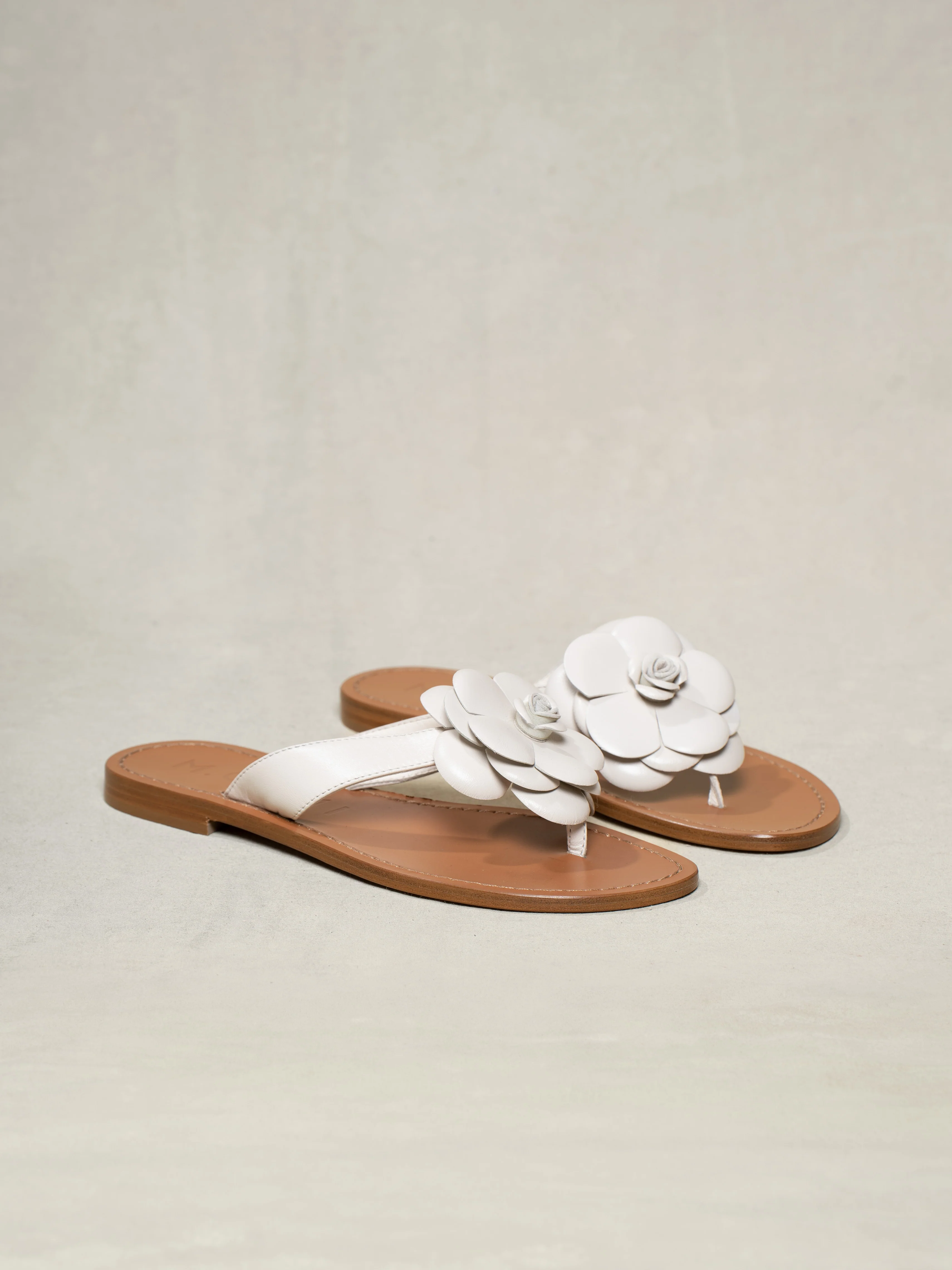 The Medio Fiore - Image 2