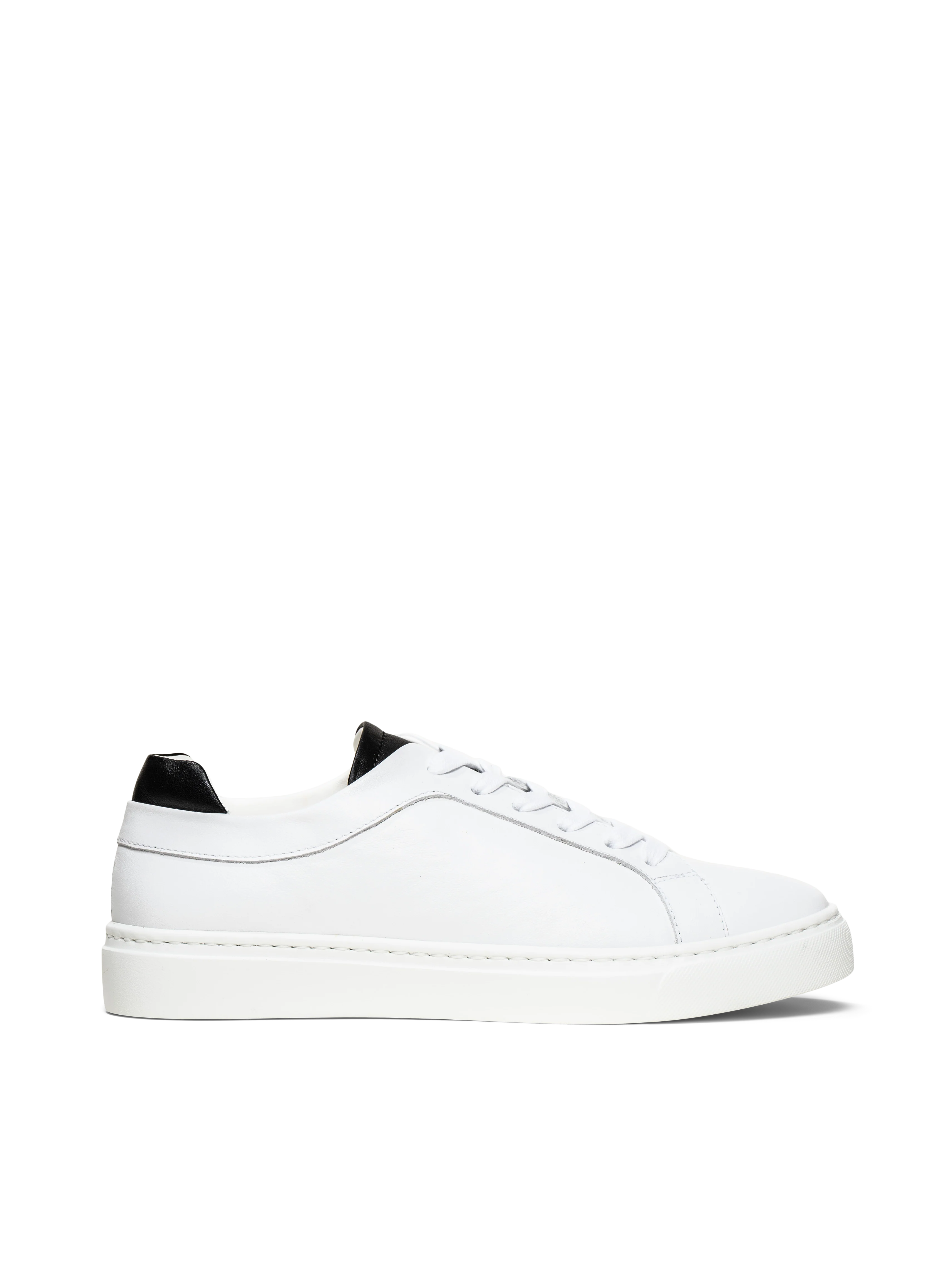 The Palestra Due (Sample Sale) - Image 10