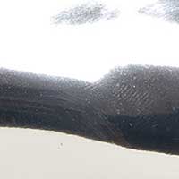 The Tosca - Image 5